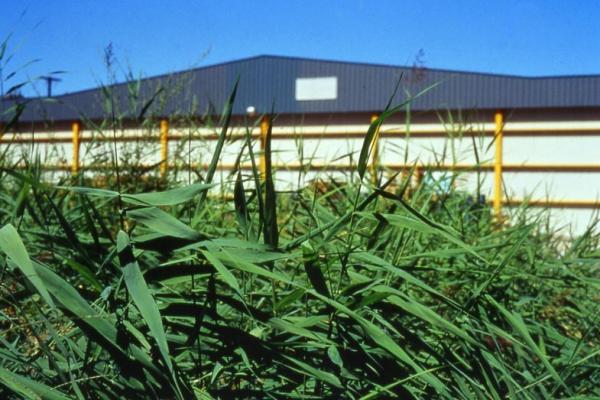 ΓΑΙΑ ΤΡΟΦΙΜΑ ΑΒΕΕ, Αίγιο