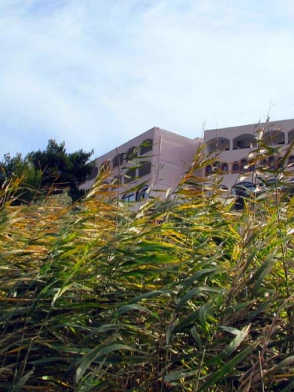 Ιερά Μονή Παναγίας Παντάνασσας, Κερατέα Αττικής