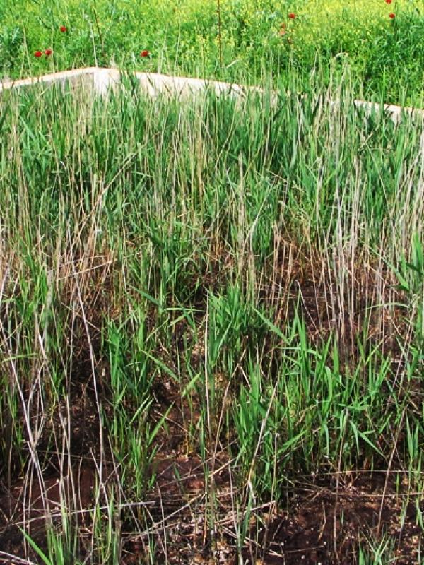 Palmie Catering ABEE, Αυλώνας Αττικής